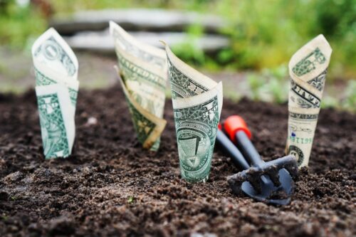 Money in dirt with gardening tool.