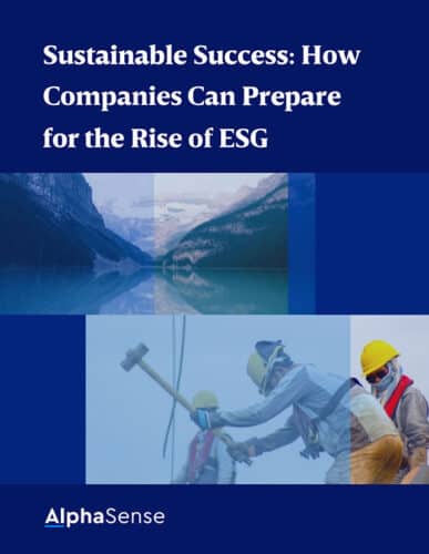 sustainable success how companies can prepare cover